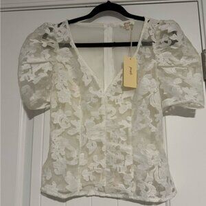 Elegant Cream Lace Top